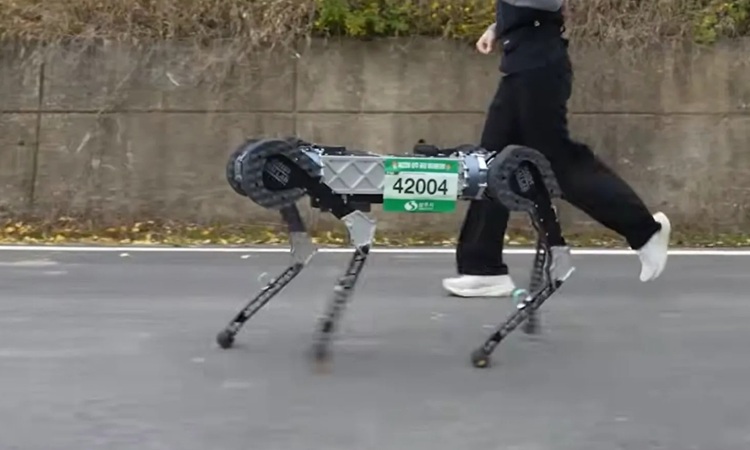 Chó robot chạy marathon 42 km trong một lần sạc
